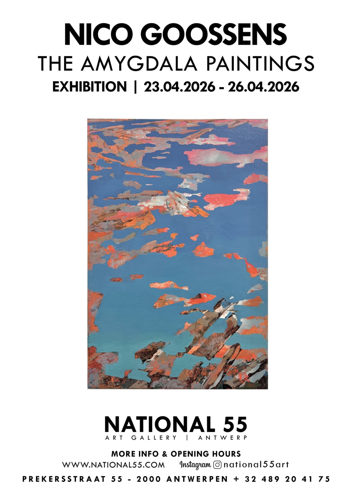 NICO GOOSSENS | NATIONAL 55 Art Gallery